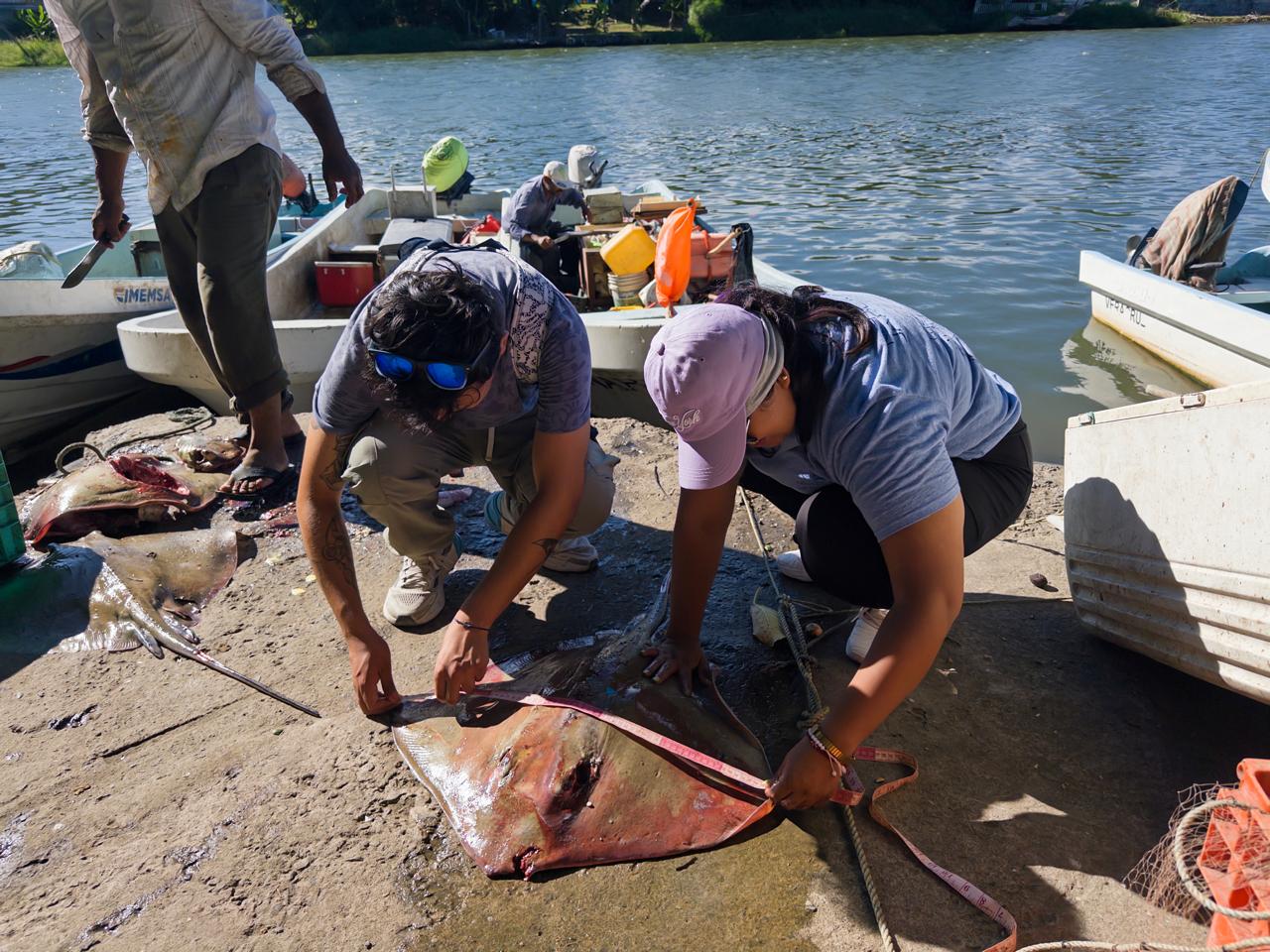 Exposición fotográfica